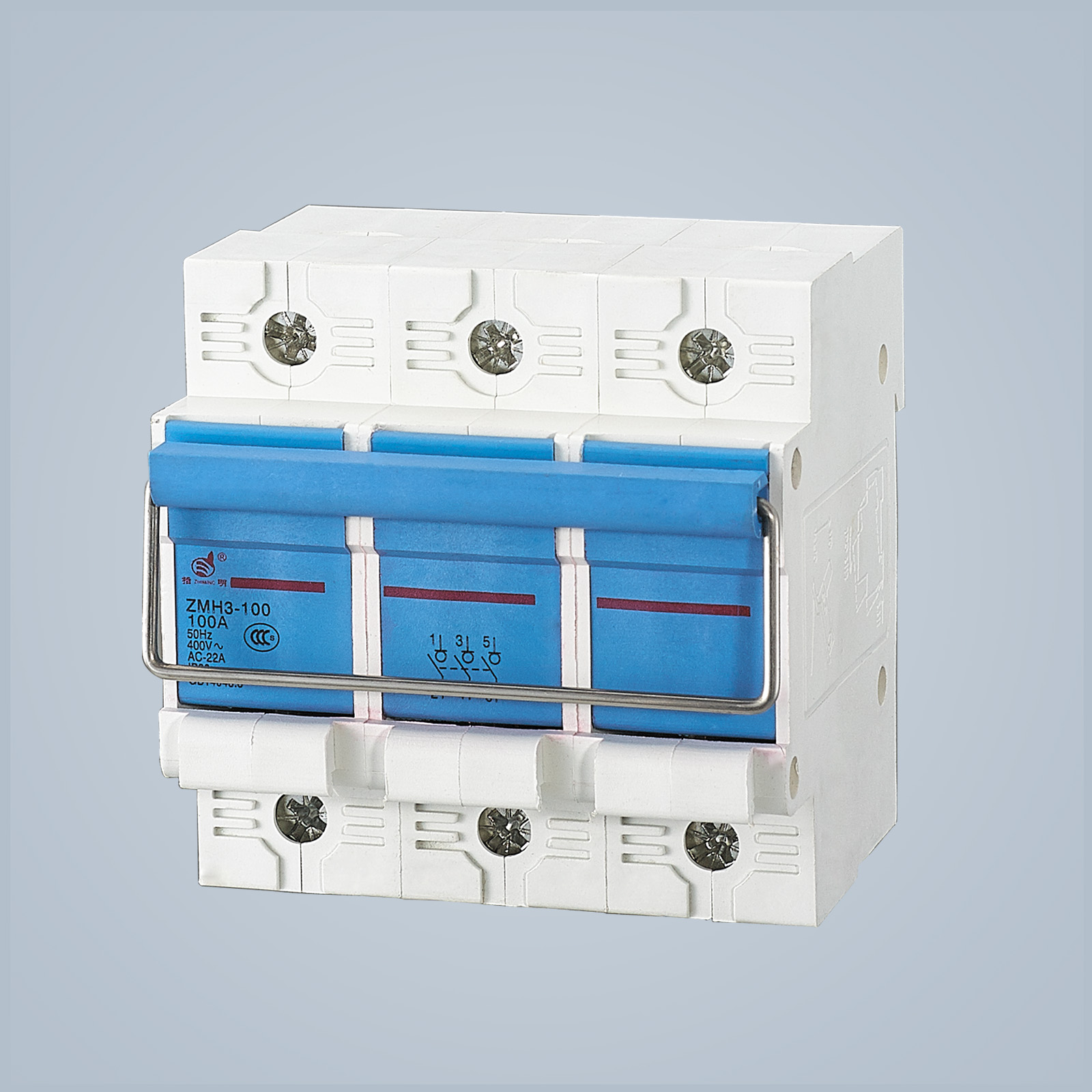 ZMH3-100 隔離開關