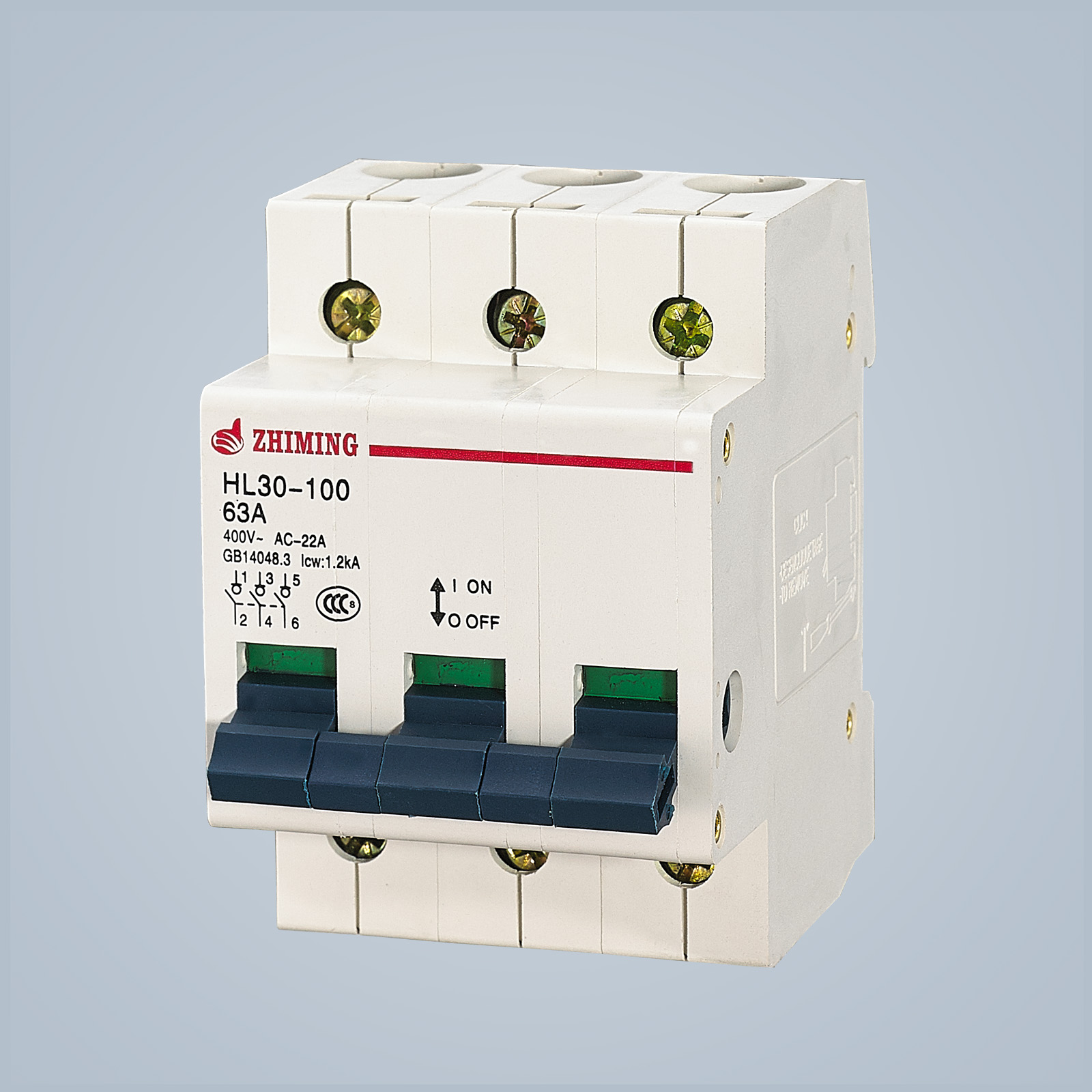 HL30-100 隔離開關